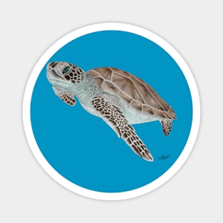 Green Sea Turtle 1 Magnet